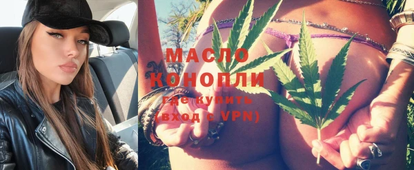 прущие грибы Няндома