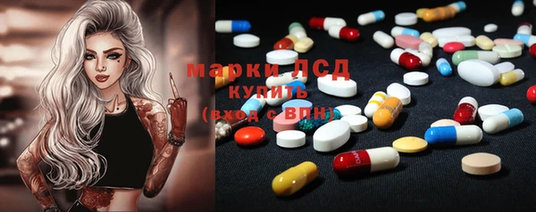 прущие грибы Няндома