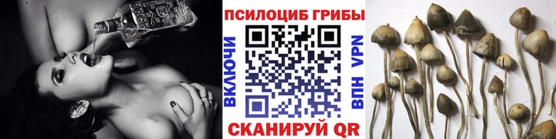 нарко площадка официальный сайт  Нестеров  Галлюциногенные грибы мухоморы  купить  цена 
